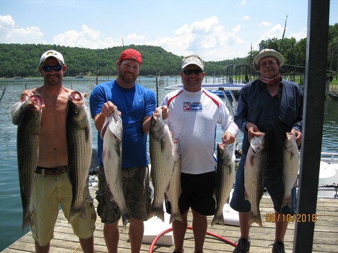 Nice Striped Bass